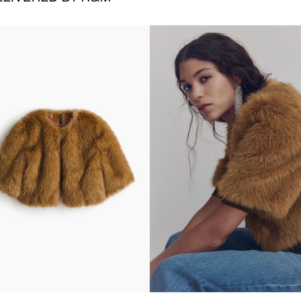 H&M Cropped Brown Faux Fur Jacket